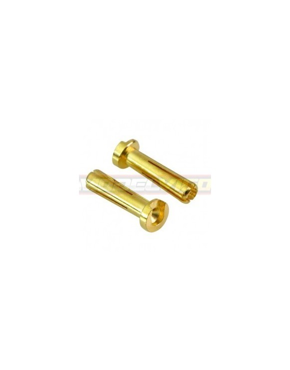 CONECTOR 4MM LOW HEIGTH MUCHMORE