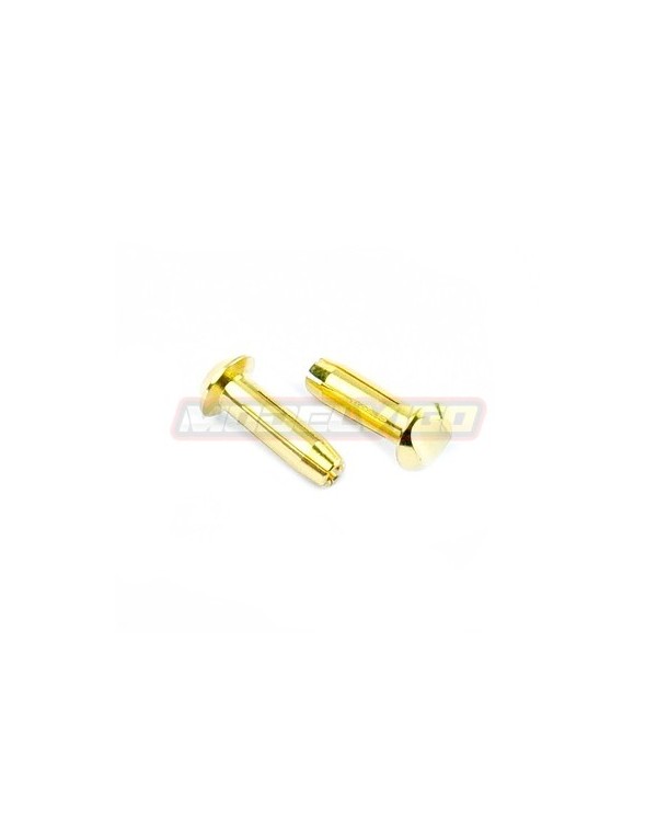 CONECTOR MUCHMORE LCG 4MM