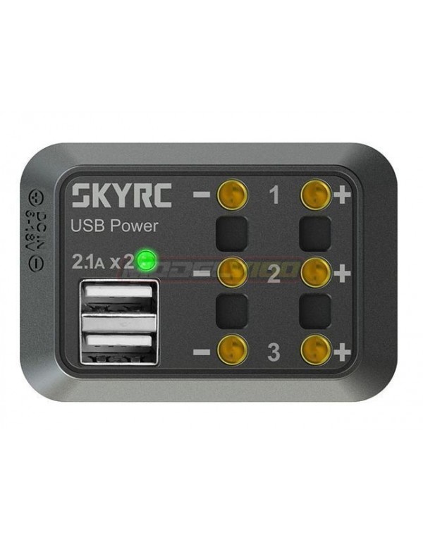 DC POWER SKYRC