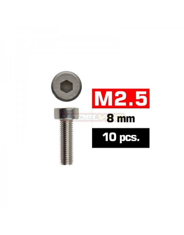 TORNILLOS M2,5X8MM CILINDRICO (10U.)