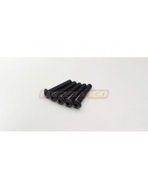 TORNILLOS KYOSHO CABEZA REDONDA 4X22 (5UNI)