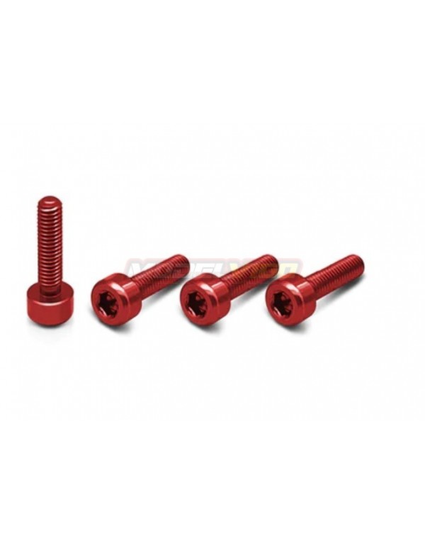T-WORK TORNILLOS 4PX/7PX ROJO