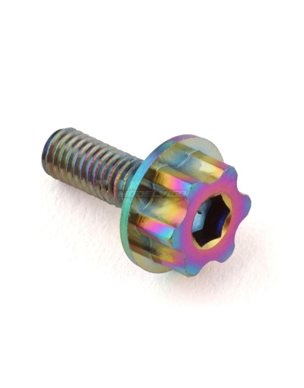 J&T Bearing Co. Titanium Clutch Screw (Oil Slick)